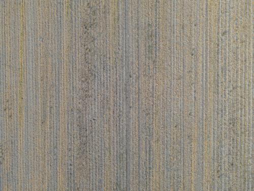 DJI_4274.JPG